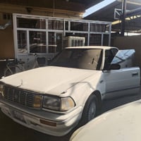 هارتوب • ١٩٨٩ • صبغ عام