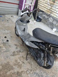 ماكس منغولي • مصلح وفحص • كفالة