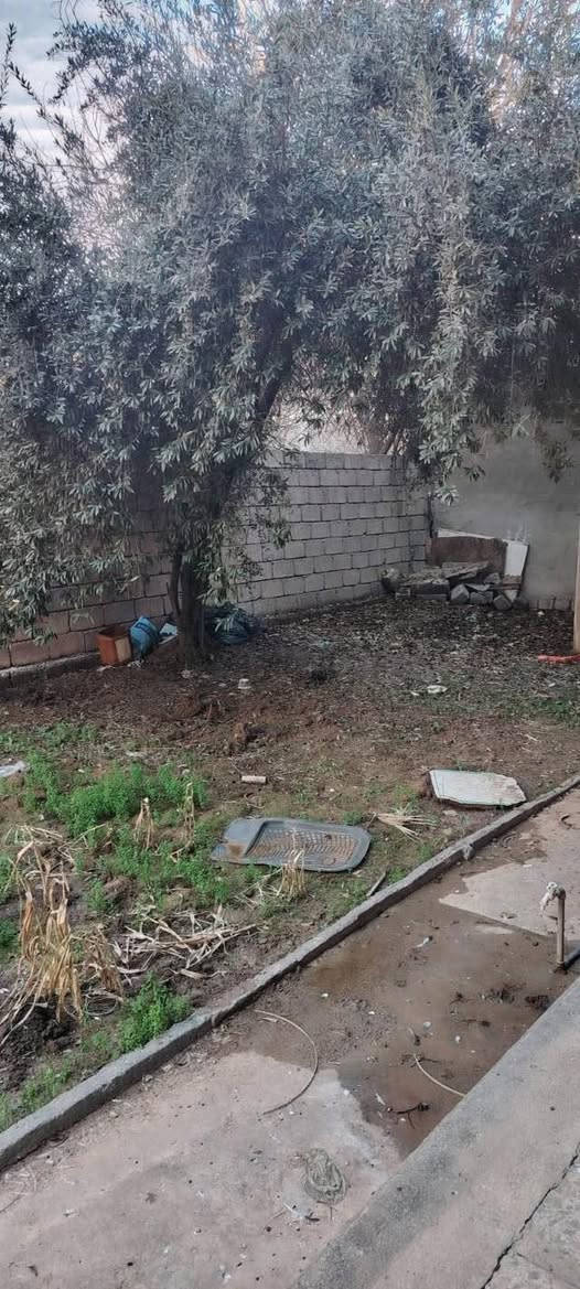 سلام عليكم
شقه ل ايجار طابق ارضي تلفزونيه المساحه ٣٥٠متر 

٣ غرف نوم 🛌 وهول جبير ومطبخ حار وبارد كبار ومخزن جبير وبيت مونه  وحديقه فتل البيت 

المكان شقق الخضراء 

***********

***********
