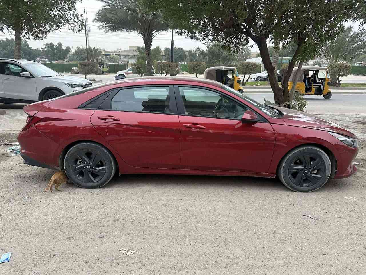 السلام عليكم اخواني
سياره الانترا للبيع ٢٠٢٣ 
رقم بغداد الون ماروني مميز 
مواصفات 
بصمه تبريد بيانو حساسات رادرات امامي وخلفي وجانبيات 
نقصه بس الفتحه 
ماشيه ٢٧ ميل 
حادث خفيف جداااا
موضح بالصور شبرين من قبق الجنطه يم الرقم والدعاميه نفسه مصلحه ورجعته 
كوله ليبل واحد ومكفول بيه كم رصعه بالقماره مال التحميل بامريكا 
عنوان بغداد الشعله 
عارضه ١٦٣ وبيه مجال بسيط ان شاء الله 

الهاتف ***********
