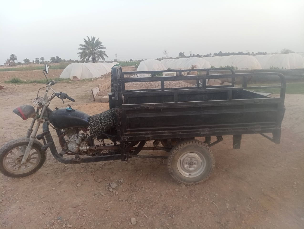 السعر 400 المكان الطيفيه شاخه خمسه اسمها تيار


**إذا كنت صاحب هذا الإعلان وتريد حذفه لأي سبب، رجاءا أرسل رسالة إلى الدعم الفني**