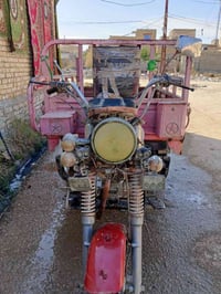 ستوته • دايون 2021 • أوراق أصولي