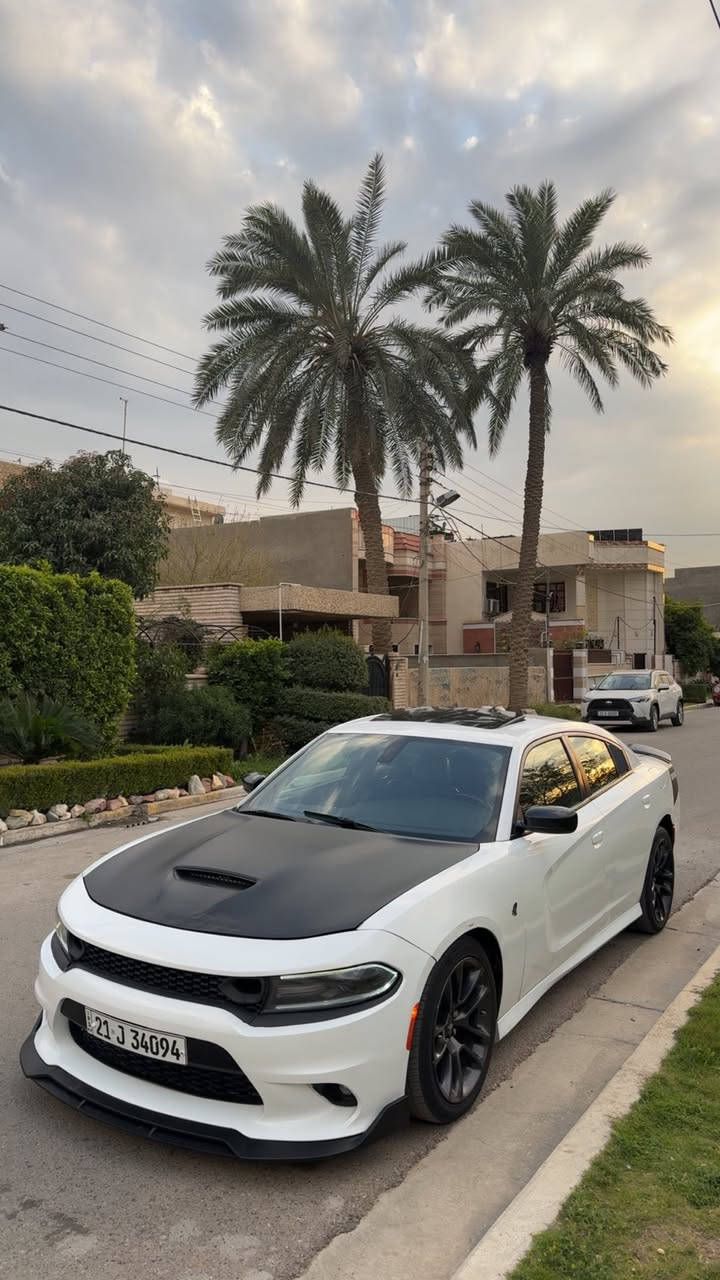 تحيه حب واحترام 🤍

للبيع او المراوس اخوان 🔥

دوج جارجر ار تي دايتونا 2020  DAYTONA R/T‏  
المحرك : 5.7L V8
الحادث :   جاملغ  خلفي فقط والامامي بارد  
الملاحضات ؛

-----
العداد : 55  ميل 
مواصفات : DAYTONA 1/1
فول سلايت 🔥 
لايتات زينون 
رادارات جانبية
كشنات كنتارا كهرباء سايق+ صدر 
كشنات ميموري خزن
شوتة رياضية بلاد مال دايتونا الزركه 
كشنات تدفئة + تبريد + ستيرن هيتر
خلفي تدفئه
سستم صوت 
سوبر تراك باك🏎️🏁
بيها نظام بريفورمس داتا 
ويل دايتونا اصلي
شفتات ستيرن 
شاشه كبير + حساسات وكاميرا
ستيرن كهرباء 
السيارة كلها مختمة دايتونا 
السيارة جديدة جدا واحلى من الصور 
السياره كلشي بيها بلادي 
صوت بلاد شركه بدون لاتفريغ ولاشي 
حته حجر بلاد وبرمجه بلاد 📌
سياره مال بيت 
مكان السيارة    ((  بغداد  ))

رقم سليمانيه تريد تحويل وكاله مو مشكله 🔥

السعر 233 وبيها مجال حك الجيه 

اخوان سياره بلاديه وحلوه وبل خير على الياخذها 
ومسوي ادامه كامله وحته دهن جديد🤍
وحداديه مالتها كذالك 
رقـــم الهــاتــف ؛ 
***********
