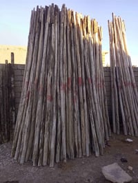 دراسك • طول ٣ وربعين • صلاح الدين