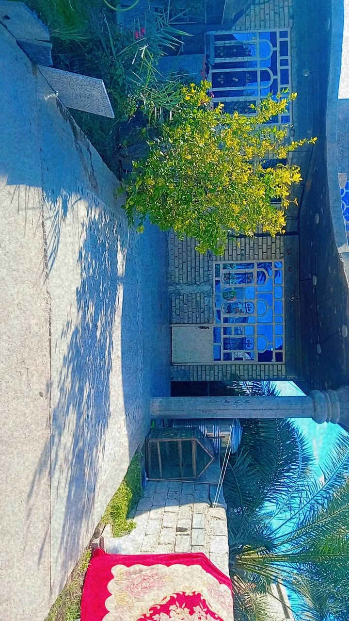 يوجد دار البيع 14رمضان إصلاح الثانيه رقم
***********
***********
