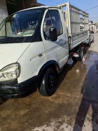 كازيل روسي • سنوية • كركوك