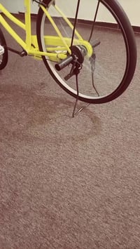 بسكليت • النجف • سعر خاص