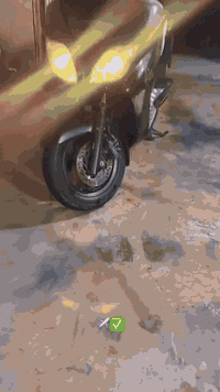 سلام عليكم فورزه 0/8 كغاله دراجه خير من الله كلشي شغال  المكان ناحيه الوحده قرب مجمع بسمايه ✅ 
***********
