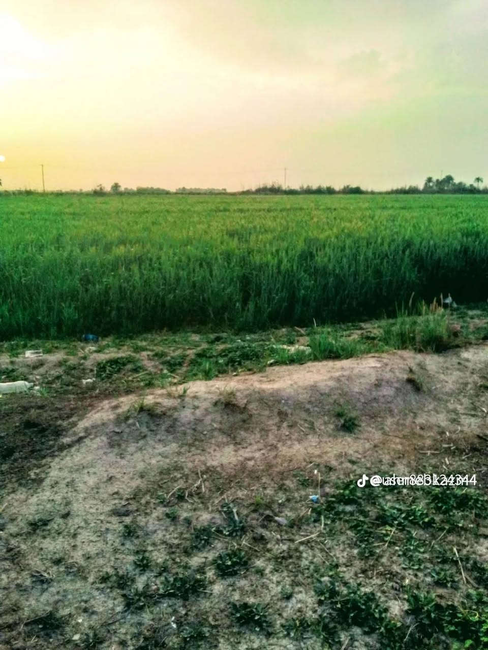 ارض زراعيه للبيع المساحه ٤٠دونم في محافضت واسط في منطقت الدخنه على نهر الكلال مباشر يوجد بأرض كرفان للسكن ومحرك ماء متوفر شتاء صيف للاستفسار اكثر اتصل ***********
