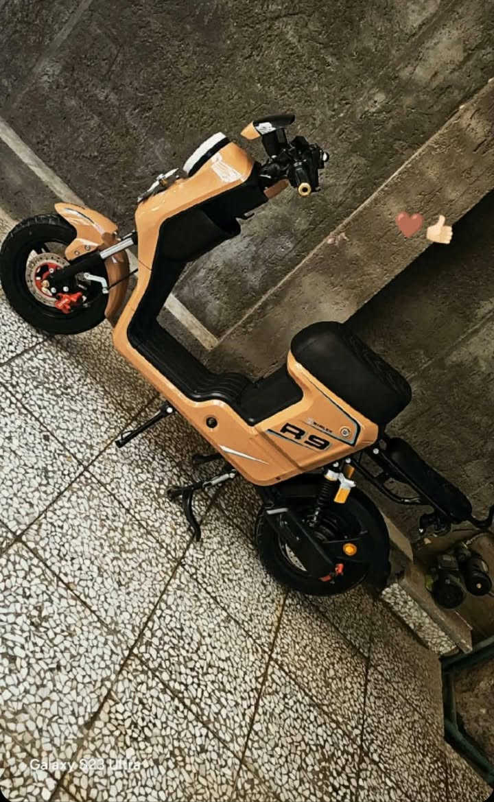 دراجه شحن R9🤎🪄
كهربائية كله شغاله🪄🤎
بطاريت 32 امبير ونلي 🤎🪄
فول موصفات سعر 525 وبيه مجال🤎🪄
مديل2026🪄🤎
مكاني نجف حولي يم مستوصف فاو 🤎🪄


**إذا كنت صاحب هذا الإعلان وتريد حذفه لأي سبب، رجاءا أرسل رسالة إلى الدعم الفني**