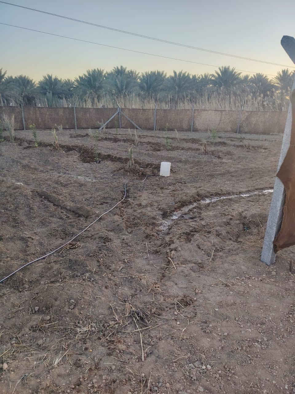 ارض للبيع في كربلاء سند 25 
مساحتها  500 متر
طابوا زراعي سند 25 كربلاء طريق بغداد عمود 168 تبعد عن الامام 8 كيلو تبليط كهرباء ماء اسالة
السعر ٣٥


**إذا كنت صاحب هذا الإعلان وتريد حذفه لأي سبب، رجاءا أرسل رسالة إلى الدعم الفني**