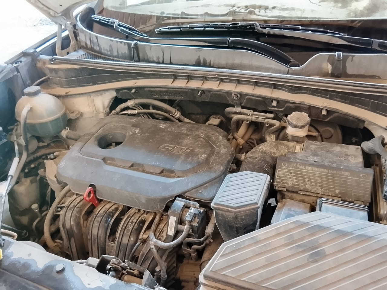 سبورتج للبيع سياره مكفوله ماعده الموضح بسونار ماشيه ميه اوستين موديل 16 %***********  السعر 160اوبيهه مجال
