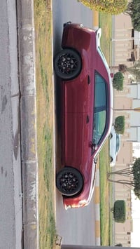 اوبما • ٢٠١٩ • الفلوجه