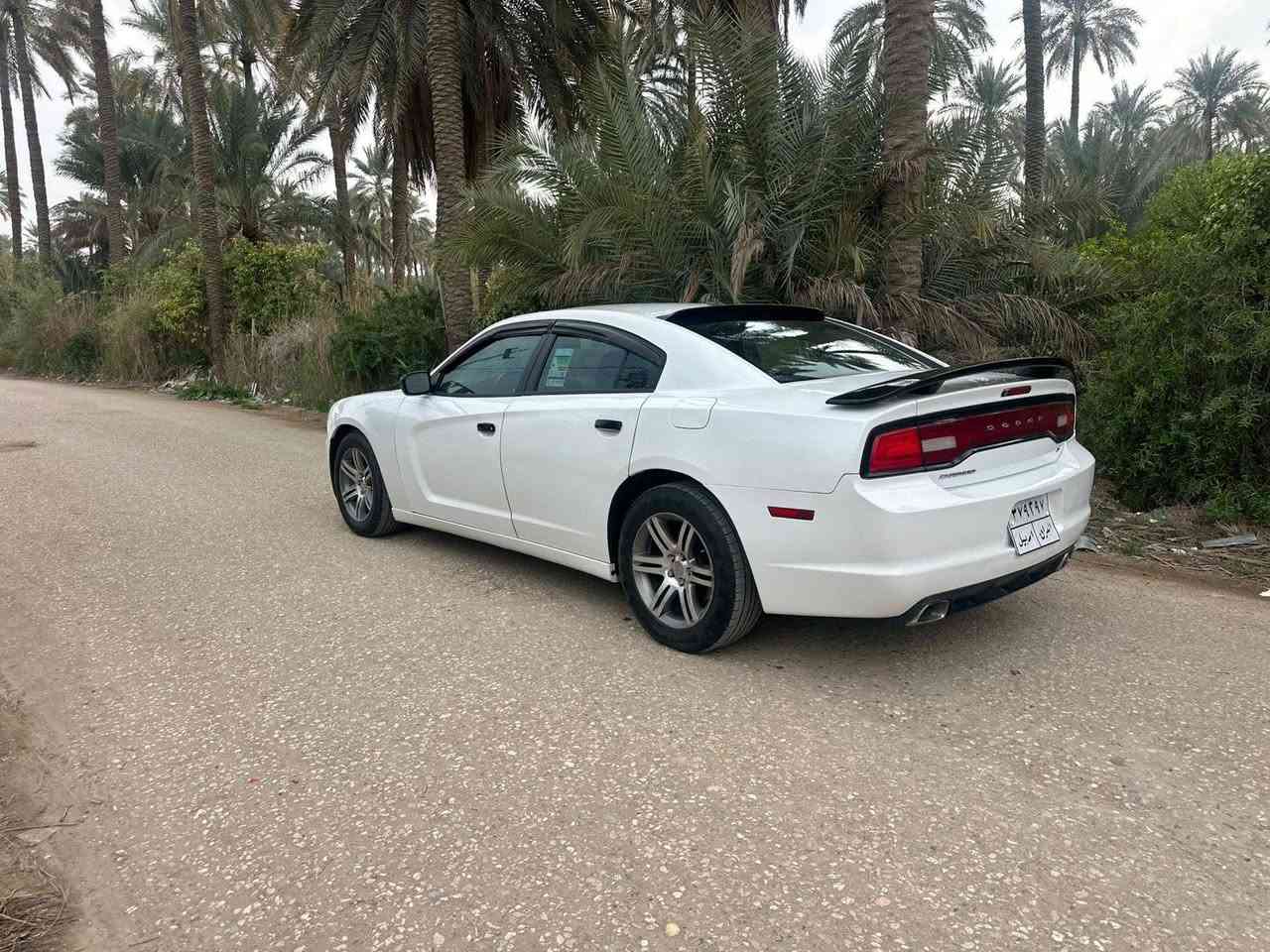 جارجر موديل 2014 مكينه وكير مكفلات رقم أربيل تحول مباشر وكاله مضمونه ورد أمريكي حادث جاملغ خلفي حجم المحرك 3600 ملاحضه السياره جاهزه من كلشي سعر 138 مجال بسيط مكان السياره
***********
