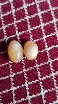 جزعات نثيه وفحل للبيع 07756136607