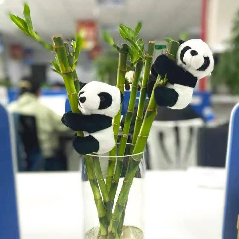 رمضان كريم🌙

باندا 🐼 عصا موسى 

للحجز / راسلونا ع بريد الصفحة📥 
‏‎واتساب / *********** ☎️ 
 واتساب /‏‎*********** 
 
‏‎متوفرة خدمة التوصيل🛩️
