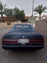 كريستا عضم • ١٩٩١ • رقم ديالى