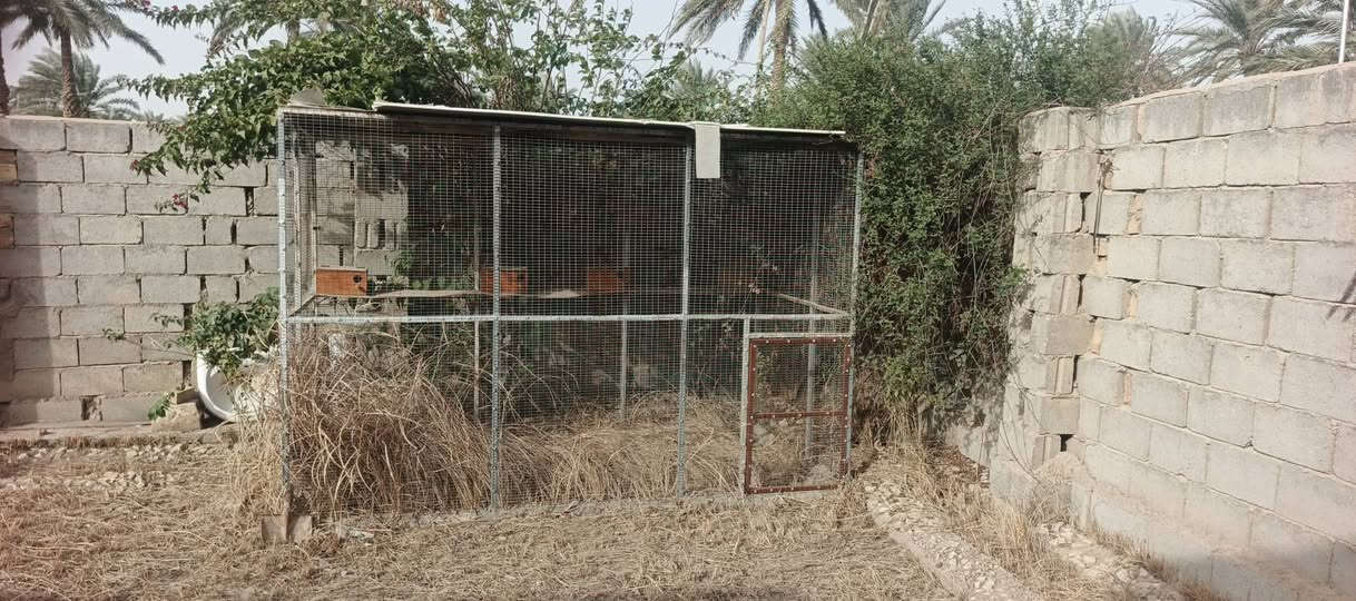 قفص للبيع الطول 3 متر والعرض متر ونص والارتفاع 2 متر شغل درجة أولى غير مستخدم مكاني المحاويل البدع


**إذا كنت صاحب هذا الإعلان وتريد حذفه لأي سبب، رجاءا أرسل رسالة إلى الدعم الفني**