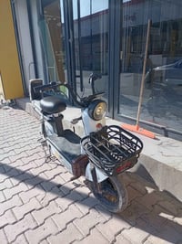 بايسكل شحن • حجم 14 • قابل تفاوض