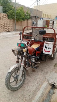 ستوته أم طير • موديل ٢١ • أوراق كامله