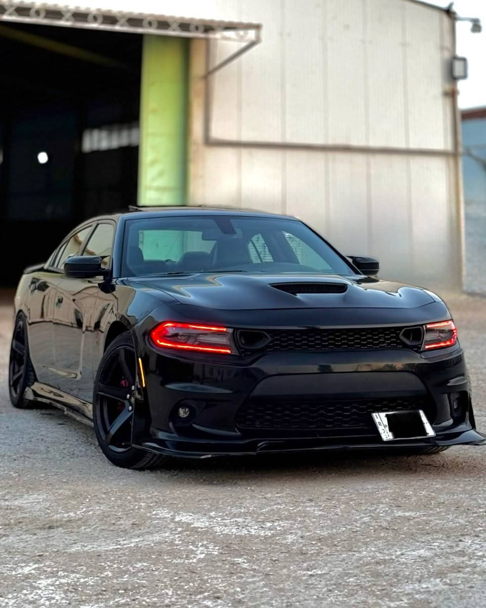 سلام عليكم للبيع او مراوس 
سكات باك 2017 بدون حادث  وبدون ايرباك سرقه فقط باب وجاملغ وتبدلن نفس لون السياره بدون قطره صبغ 
ماشيه 79 حقيقي رقم بغداد باسمي سنويه وهزه جدد 
مواصفات فول لاخير 1/1 معروفه مواصفات لفول
التزويد واضافات
هدرز ڤورتك الاصلي 1200$
تفريغ وبرجمه فول سيفني ومراوح ب400$
منضومه ميثانول ستيج 3 ب300$
 زرع عدسات لايت نهار ومازدات متغير اوريكال 300$
بلكات ريسنك ولف حماوه ريسنك  فيت بم ريسنك كله ريسنك الاصلي 
كزوز كامل 3 انج وزوع بوابات 
وياله وتايرات تو سايز 
كت كامل دوس ولحايا وغيرهن
دواخل تغطيس كاربون 
سياره مابيه مصرف كامله 
وجداً جديده ونضيفه واخوان فدوا هاي السياره ما تتقارن بوحده مهجومه او فارغه 
سعرهه 215 وبيه مجال لطيبين

عنوان كربلاء - بابل
لأستفسار ***********
