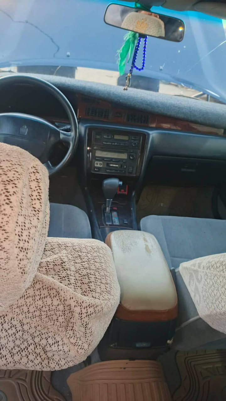 السلام عليكم راس ثور تكم كفاله نكليزي للبيع عنوان نجف ‏‪+9647802796116‬‏
