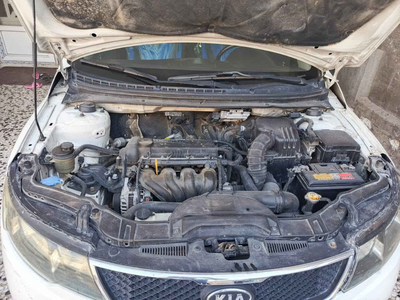 سلام عليكم سونار وسعر مرفق بل منشور سيراتو 2013 خليجي  مكينه 1600وتو مكينه وكير بشرط تتفئه تبريد سياره جاهزه ربع ماذب عليه السعر 95وبيه مجال العنوان بابل طهمازيه تحويل بشرط عقد مروري ***********
