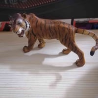 متوفر • السعر على الخاص