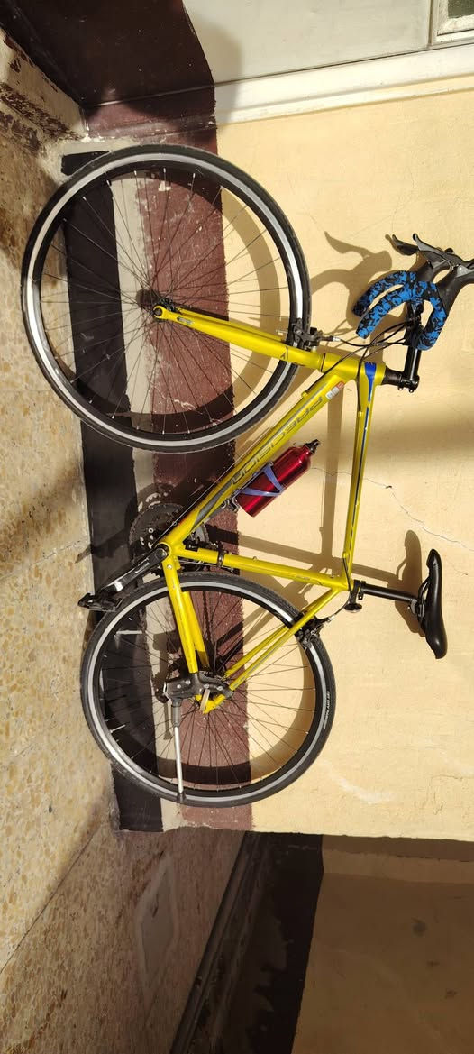 سلام عليكم رود بريزيشن لون اصفر حجم 28 وارتفاع فريم 51
سستم  8×2 كلارس  كامل اي نقص ما بي مكاني بغداد سبع البور السعر 300


**إذا كنت صاحب هذا الإعلان وتريد حذفه لأي سبب، رجاءا أرسل رسالة إلى الدعم الفني**