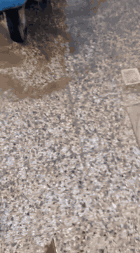 تكتك 22شهر السادس ***********
