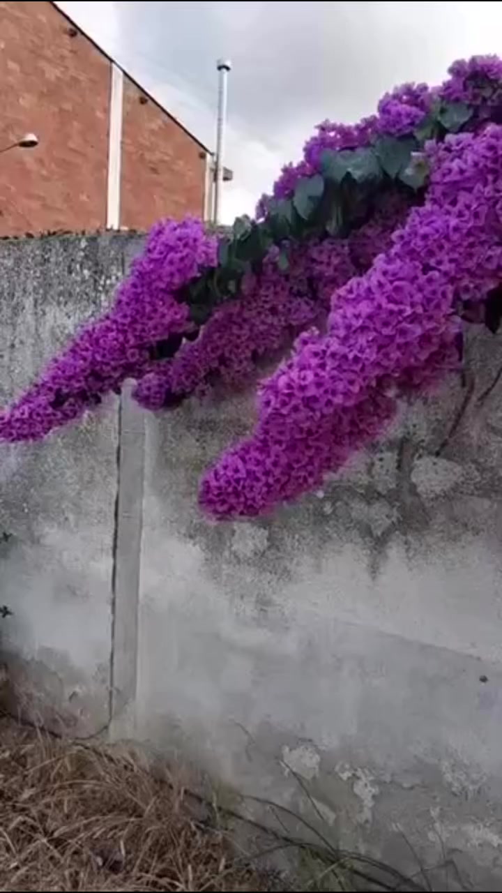 جهنمي نادر


**إذا كنت صاحب هذا الإعلان وتريد حذفه لأي سبب، رجاءا أرسل رسالة إلى الدعم الفني**