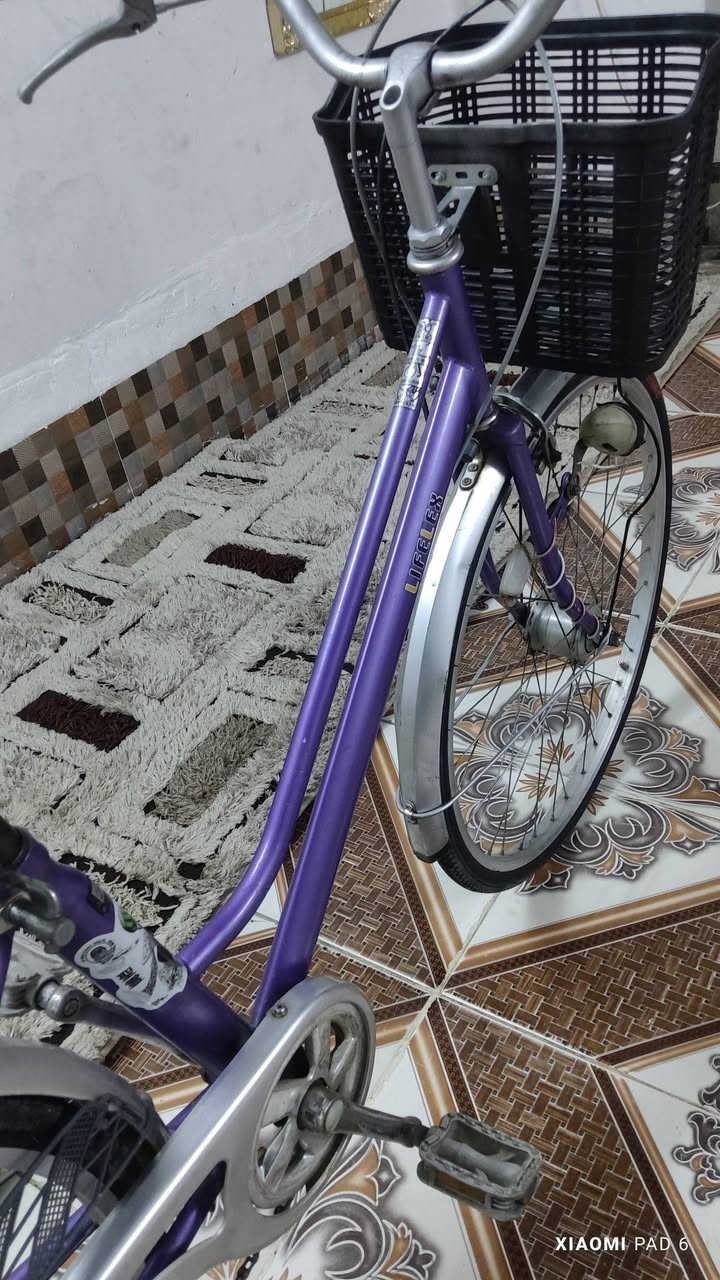 بايسكل ياباني حجم 26 دراجه بل شرط علابلاد مابيه اي عطل أو نقص صار اسبوعين امطلعه من الرمبه كير وحساس شغال وياله مصطره تايرات جدد بركات شحط دراجه انطيها بل شرط سعره 95 بيه مجال قليل كركوك قادسيه الثانيه يم تقاطع ابو خطاب الرقم ***********
