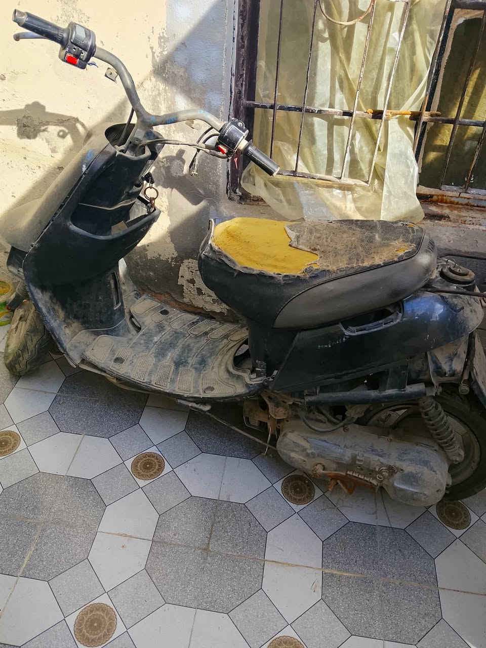 جوم حديد البيع البريد يراسلني على خاص


**إذا كنت صاحب هذا الإعلان وتريد حذفه لأي سبب، رجاءا أرسل رسالة إلى الدعم الفني**