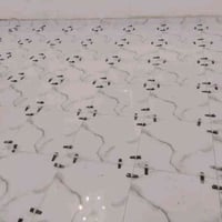 خلفات سيرميك مصري في العراق بغداد 07886597851