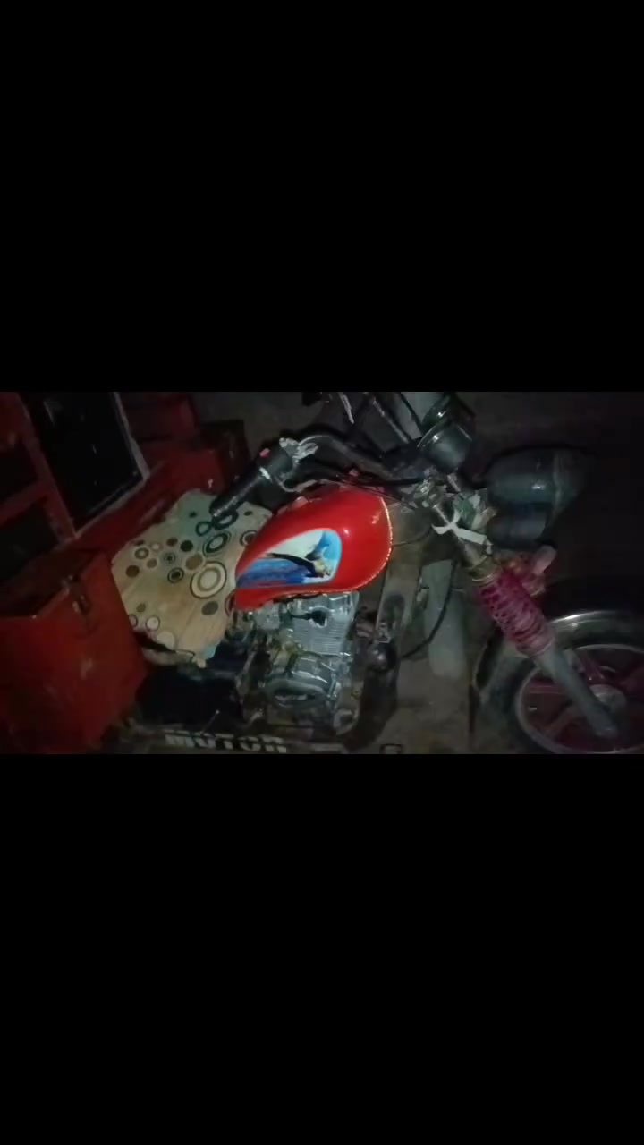 ستوته جمره فحل لبيع اورق رقم*********** سعر 1500 بيه مجال قليل
