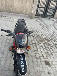 بوكسر ٢٠٢٣ • مرقمه • كفالة