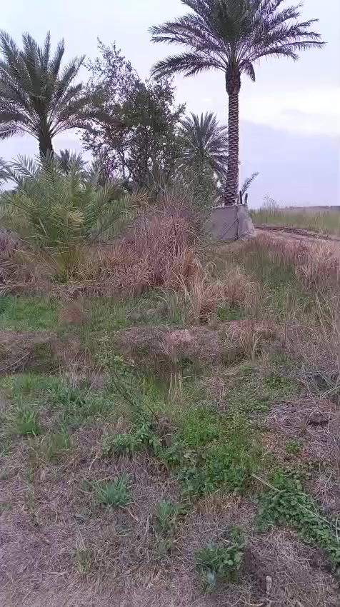 سلام وعليكم متابعين الكرام وكل عام وانتم بالف خير وصحه وسلامه جبنالكم عرض 4دوانم ستثماريات موقع مميز جدا العنوان منطقة إلا نتصار مقابيل مستشفى حماد شهاب طريق الحسينية الشعب ستفسار أكثر اتصال ***********(اعلان رقم 37) بسعر مناسب
