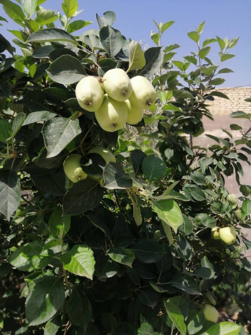 دار للبيع في الصلاحية.
كونكريت مسلح الأساس والسقف
للاستفسار/***********
