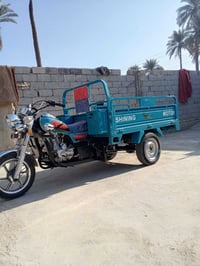 ستوته موديل 2025 • صارتله شهر • اطويريج