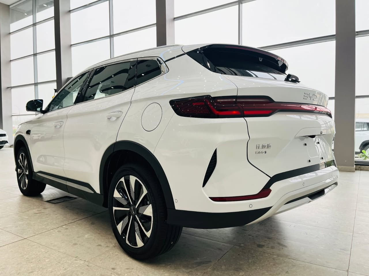 محبوبة الجماهير وصلت
تعلن شركة MIA لتجارة السيارات
وصول سونك بلاس الون الابيض 

مواصفات السيارة
‼️حجم البطارية 18.3 يمشي السيارة 120 كيلو بل الشحنة الوحدة
‼️كامرات محيطية وتجي ب13 كامرة
‼️حساسات امامية خلفية
‼️اوتو بارك
‼️كرسي كهربا جنطة كهربا
‼️بنوراما 

كله هذا وبسعر دمار السوك 🔥🔥31,250🔥🔥
العنوان بغداد-عويريج-مقابيل مخابر باب الاغا
للاتصال والاستفسار 
***********
