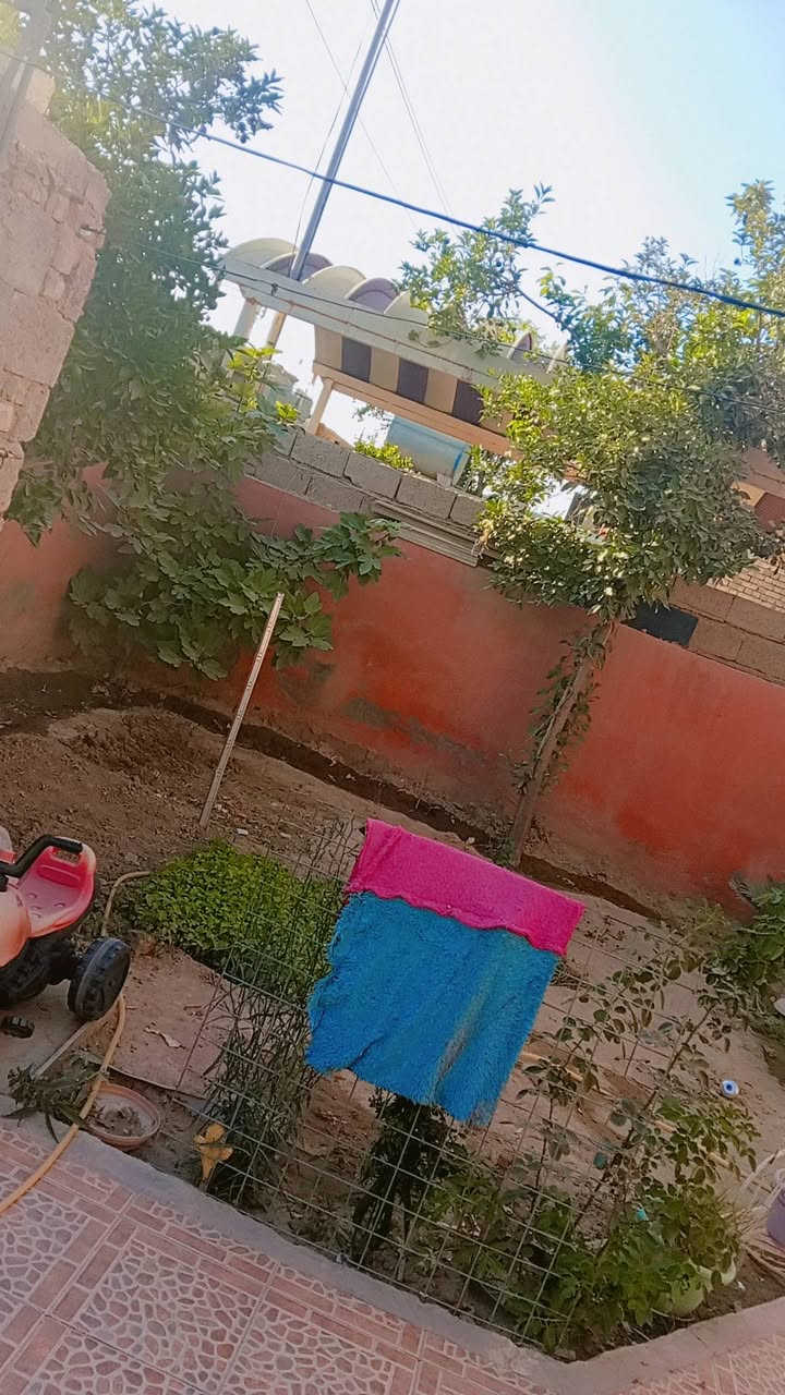دار للبيع زراعي طابو مساحة 200 متر متر طابوك طابق واحد كامل
حديقة/استقبال/مطبخ سيراميك/صحيات داخلي وخارجي/غرفة نوم/صالة كبيرة /ترك خلفي /بيتونه
مقابل جامع انوار الكعبه  
العنوان / مدخل الرحمة خلف دور الاساتذة 
تبليط ومجاري ومي متوفر
  للاستفسار الاتصال على الرقم ((***********))  واتساب متوفر ايظا
