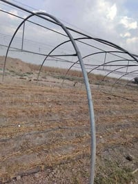 بيت زجاجي • ١٥ قوس • جبله رشايد