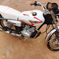 تايگر إيراني • موديل ٢٠٢٤ • أوراق أصلية