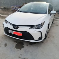 كورلا • ٢٠٢٤ • بابل