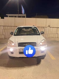 توسان • ٢٠٠٨ • رقم اربيل