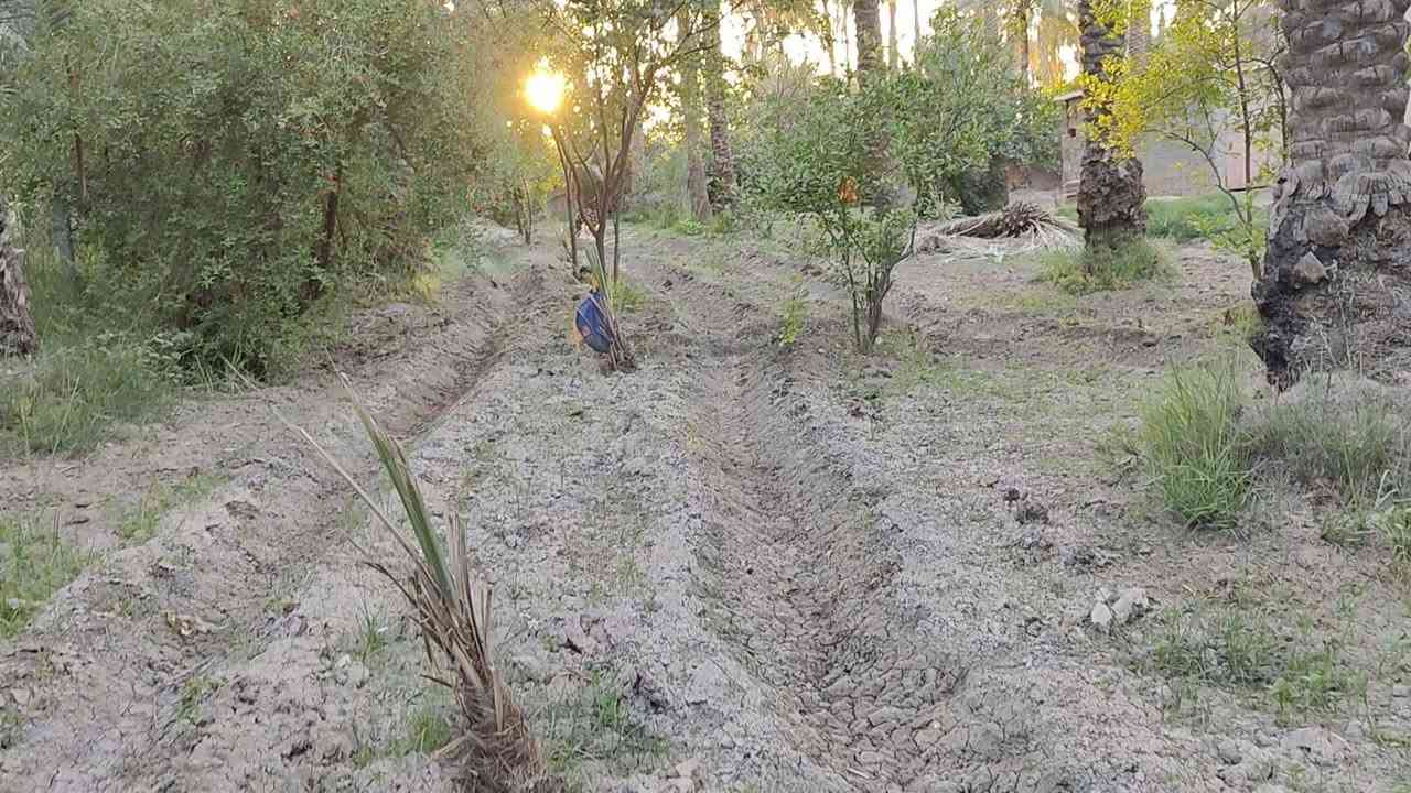 بستان طابو سند 25 تحويل مباشر للمشتري موقع حصوة عون شارع الخطاطبه مساحه دونمين مع بيت مساحه 110 متر سعر البستان 280 مع المجال للمشتري تبعد عن التبليط 600 متر خدمات كامله منطقة سكنيه جميله جدا وسعر ممتاز ومناسب 
***********
