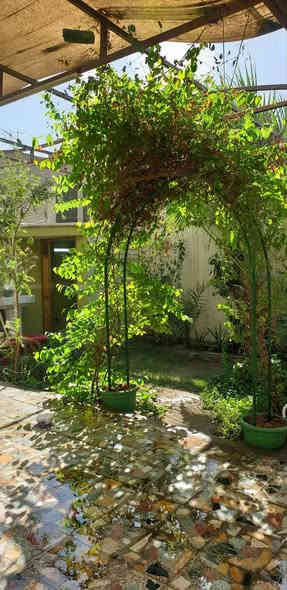 السلام عليكم  هو الله 

❌بيع مستعجل تم تنزيل السعر ❌

345  وبي مجال ❌

مساحه🏠 ١٥٠ متر  +٦٠  متر تشجير 🏠

طابو ملك صرف 

شارع    ١٥ 

واجهه  ١٠   
نزال   ١٥
٤  غرف نوم 
هول 
صاله كبيره
مطبخ 
٢  منور
٣  حمامات 
وحديقه وكراج  كبير
٢ سطح
✍واقع حال   ٢١٠  متر 

***********
 
   
العنوان  /الامين الثانيه نواب الظباط شارع المهداوي للسيارات
