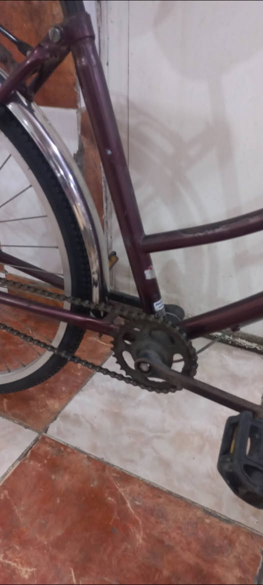 السلام عليكم 
بايسكل بآلة حجم٢٦ لون كرزي بايسكل جاهز ونضيف تايرات وبريكات جدد سعرة ٧٠الف مكاني الصليخ***********
