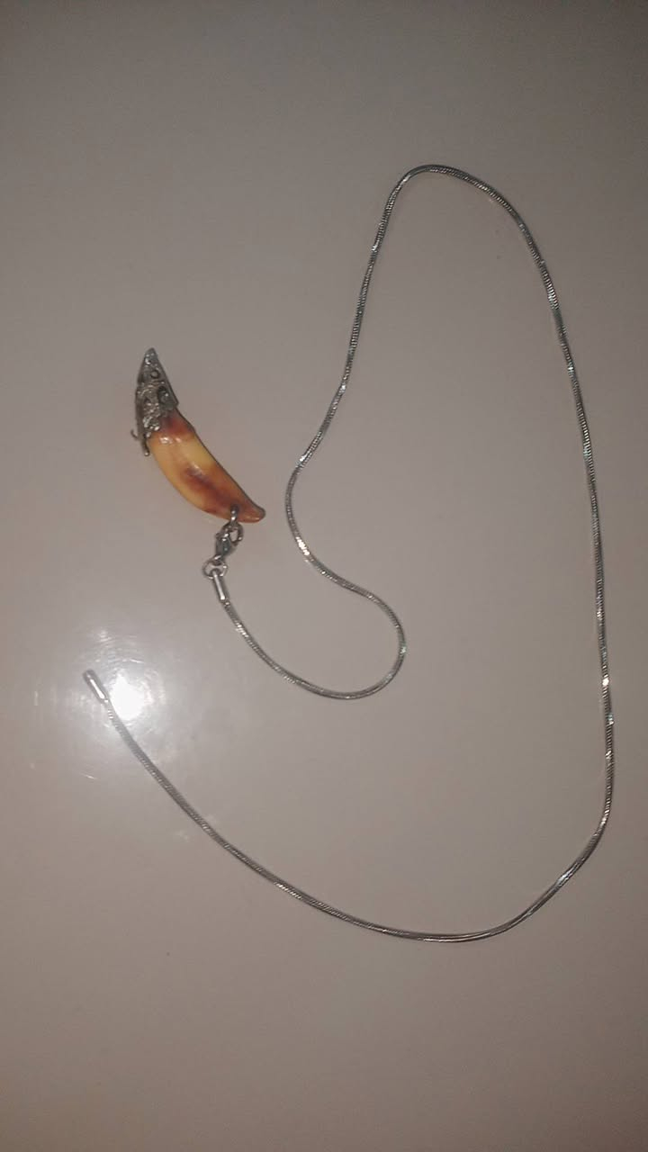 البيع كلمن وسعرة


**إذا كنت صاحب هذا الإعلان وتريد حذفه لأي سبب، رجاءا أرسل رسالة إلى الدعم الفني**