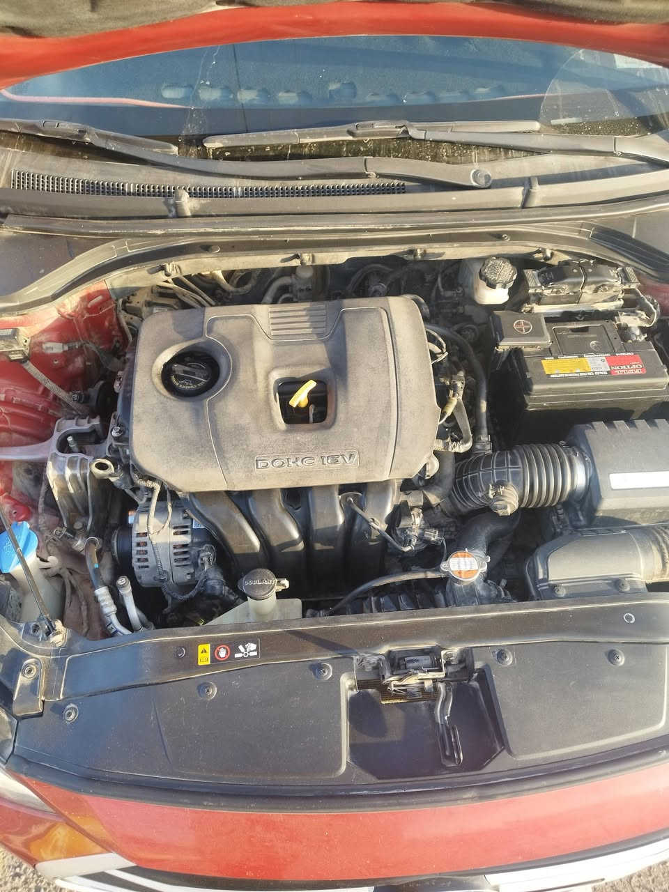 السلام عليكم…
للبيع هونداي النترا 2018 امريكي لون احمر  رقم صلاح الدين دولي سنويه جديده باسمي…سياره خير من الله 
حيل حلوه 
عداد الكيكو متر 148 الف ميل
 مواصفات عادية ويل كب  تحكم ستيرن جهتين رادار نقطة عمياء ثلاث انظمة قيادة وباقي المواصفات معروفه…
محرك 2000دوش مامفتوح  
كير مامفتوح بدون كل عيب 
صدر جديد
تبريد ثلج تدفئه نار سياره جاهزه مجهزه بدون كل عيب…
سياره بيها بارد بين باب وجاملغ سايق…
السعر 127وبيها مجال…
مكاني صلاح الدين تكريت 
للاستفسار ***********
